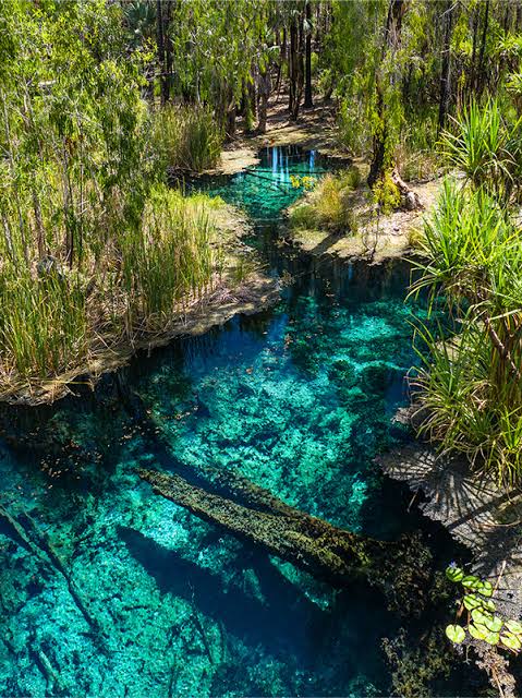 Mataranka & Bitter Springs: A Perfect Pause